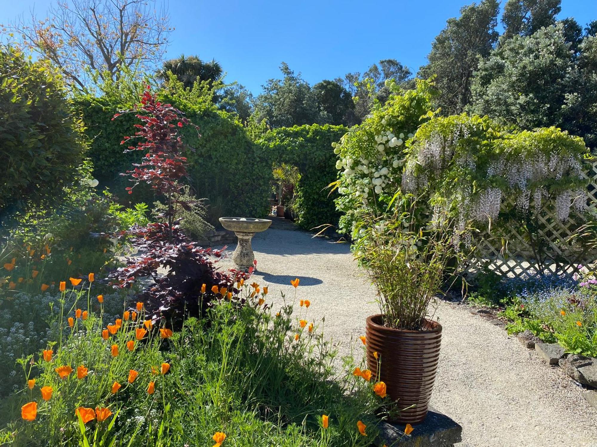 Glascroft Gardens - Bed & Breakfast Patea Esterno foto