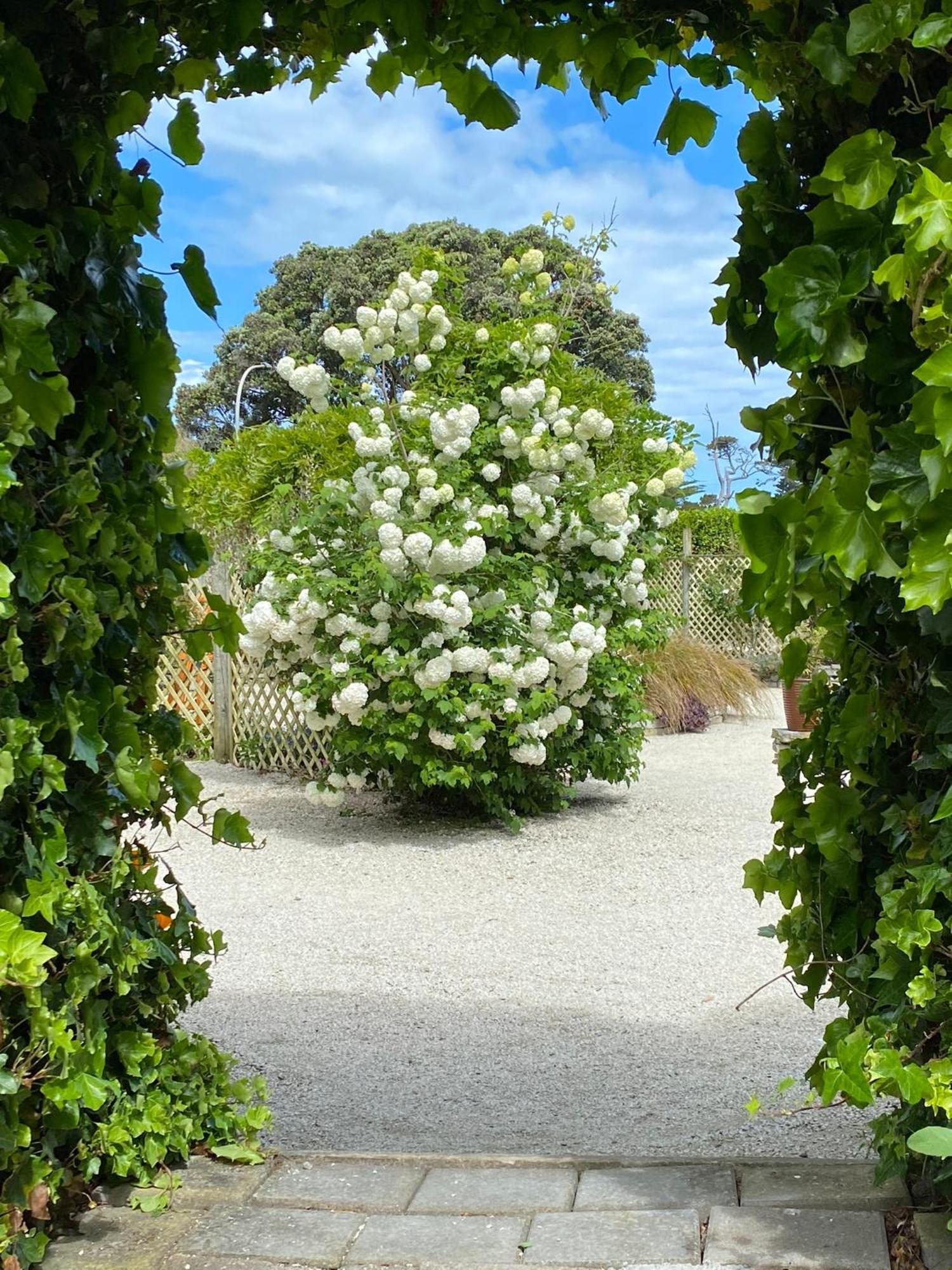 Glascroft Gardens - Bed & Breakfast Patea Esterno foto